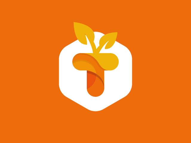 T logo design carrot orange