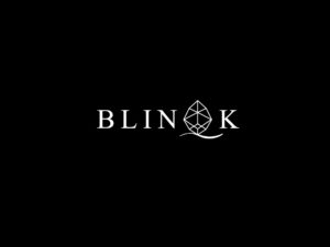 blink luxury logo design