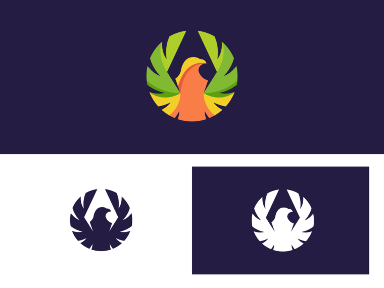 Colorful bird logo design